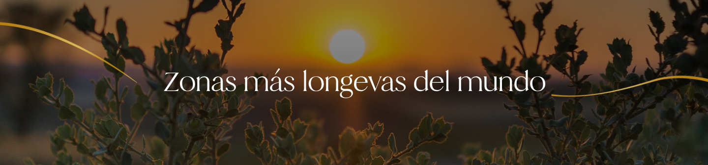 Longevidad activa: ¿Qué tienen en común las zonas más longevas del mundo? El poder regenerativo de la comunidad